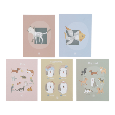 Little Dutch Gabinet weterynarza FSC