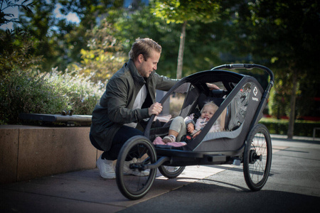 Hamax - Przyczepka rowerowa COCOON, podwójna - Grey/black