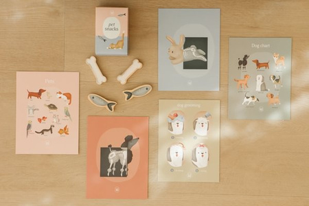 Little Dutch Gabinet weterynarza FSC