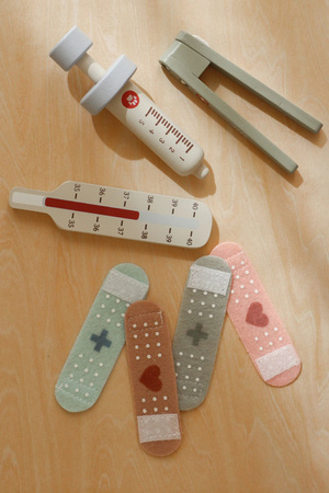 Little Dutch Gabinet weterynarza FSC