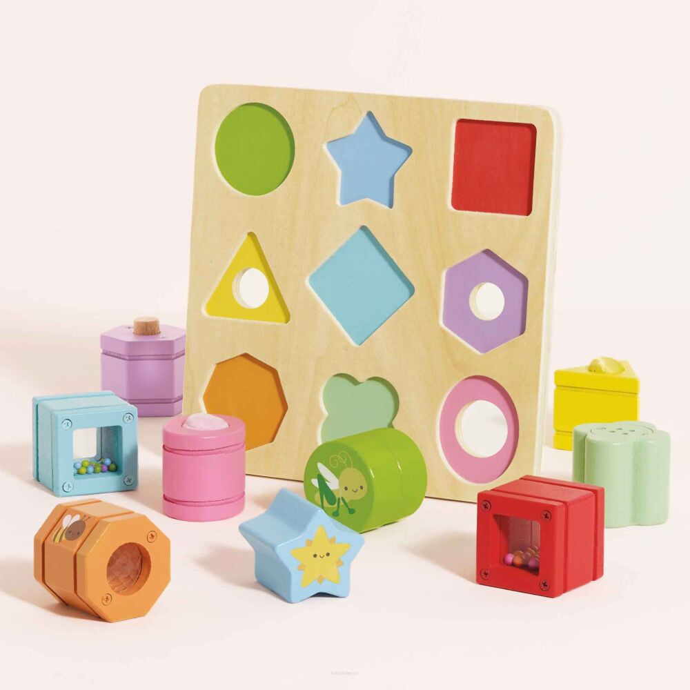 Le Toy Van - Drewniane klocki sorter zabawka sensoryczna, edukacyjna
