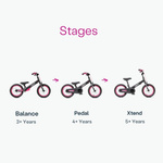 smarTrike - Rowerek 3w1 -  Xtend Bike - Pink