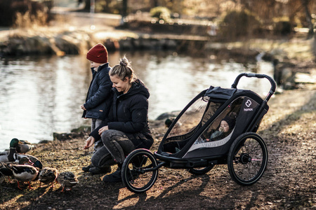 Hamax - Przyczepka rowerowa COCOON, podwójna - Grey/black