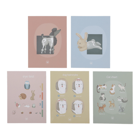 Little Dutch Gabinet weterynarza FSC