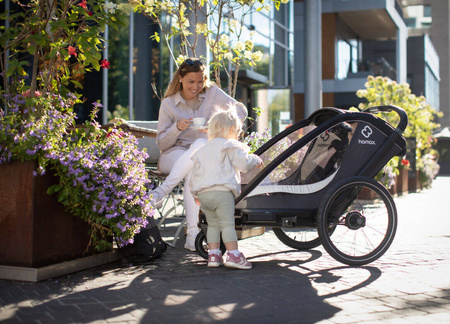 Hamax - Przyczepka rowerowa COCOON, podwójna - Grey/black