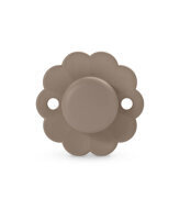 Raw Umber