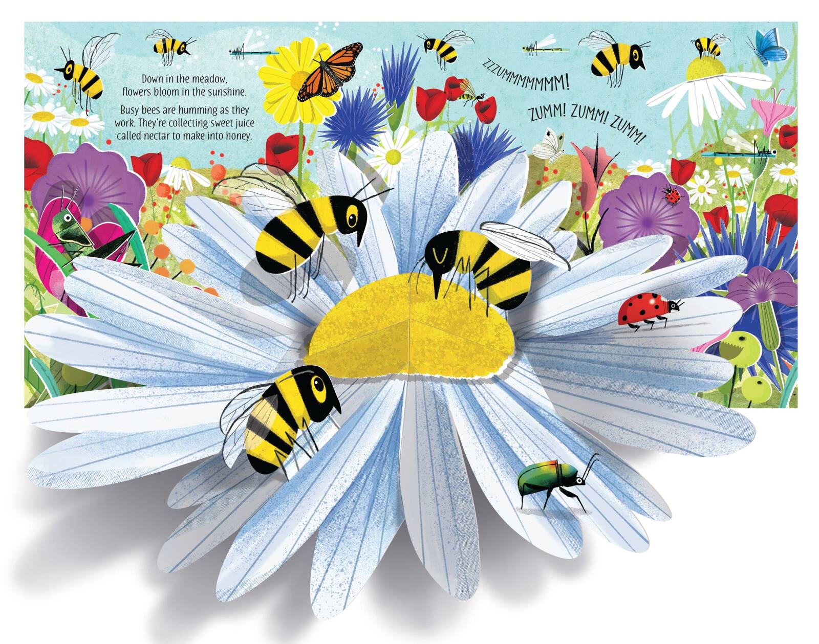 Usborne - Książka Pop-up Nature