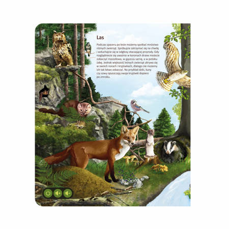 Albi - Książka Interaktywna Dla Dzieci - Świat zwierząt