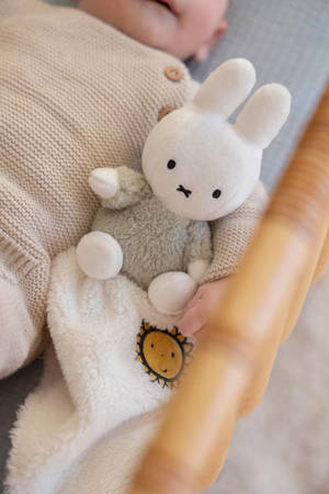 Tiamo Miffy Przytulaczek Fluffy Green NIJN930