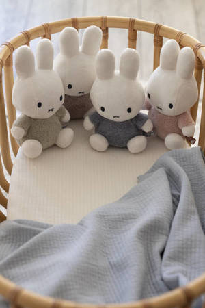 Tiamo Miffy Przytulanka 25 cm Fluffy Taupe NIJN917