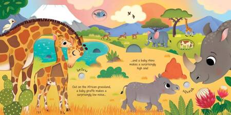 Usborne - Baby Animal Sounds