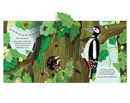 Usborne - Książka Pop-up Nature