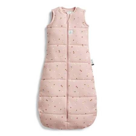 ergoPouch Śpiworek Jersey 3-12M 2.5TOG Daisies