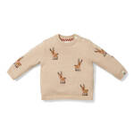 Little Dutch Sweter Christmas - Reindeers 74 CL23323522