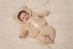 Little Dutch Zapinana bluza z kapturem Teddy - Baby Bunny Sand 92 CL25823821